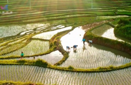 黑科技讓土壤“滿血復(fù)活”