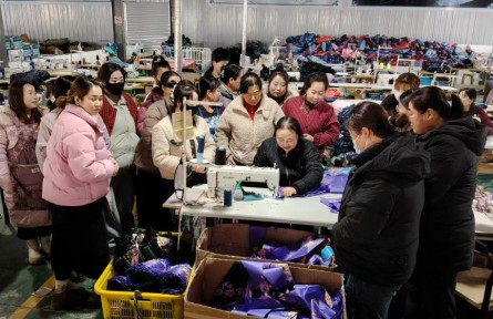 甘肅慶陽：學(xué)技增收 婦女有了成長“加油站”