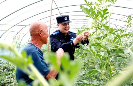 劉鵬博：“民情地圖”中的貼心人