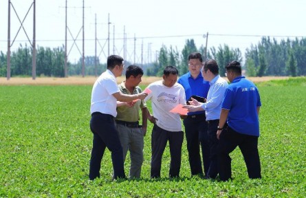 從“保險(xiǎn)+期貨”看金融助農(nóng)的溫度與力量