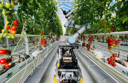 綠染沃野，生生不息——“十四五”農(nóng)業(yè)發(fā)展全面綠色轉(zhuǎn)型綜述