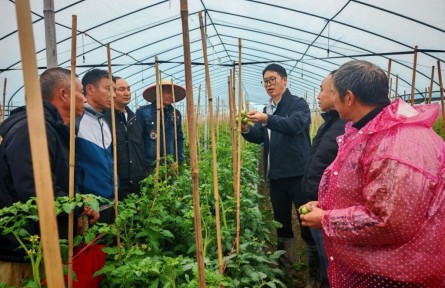 曾祥亮：扎根田野18年，他給莊稼當醫(yī)生